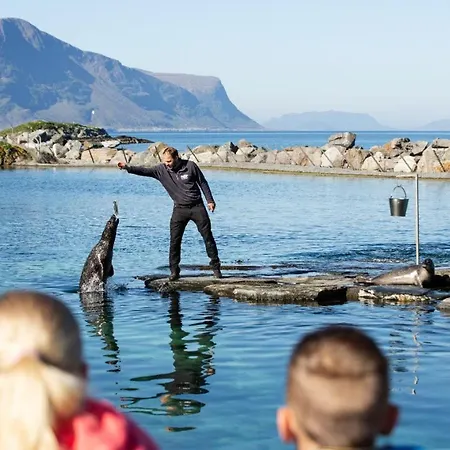 Noreg Alesund