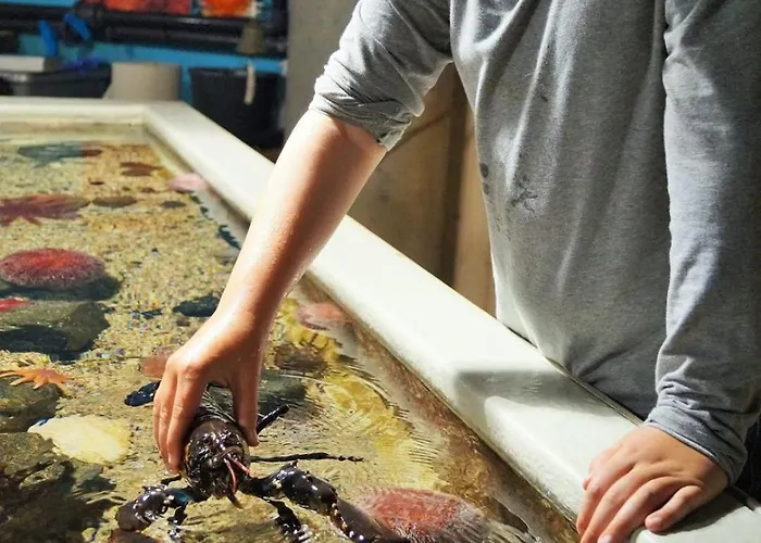 Noreg Hotel Ålesund