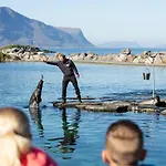 Noreg Ålesund